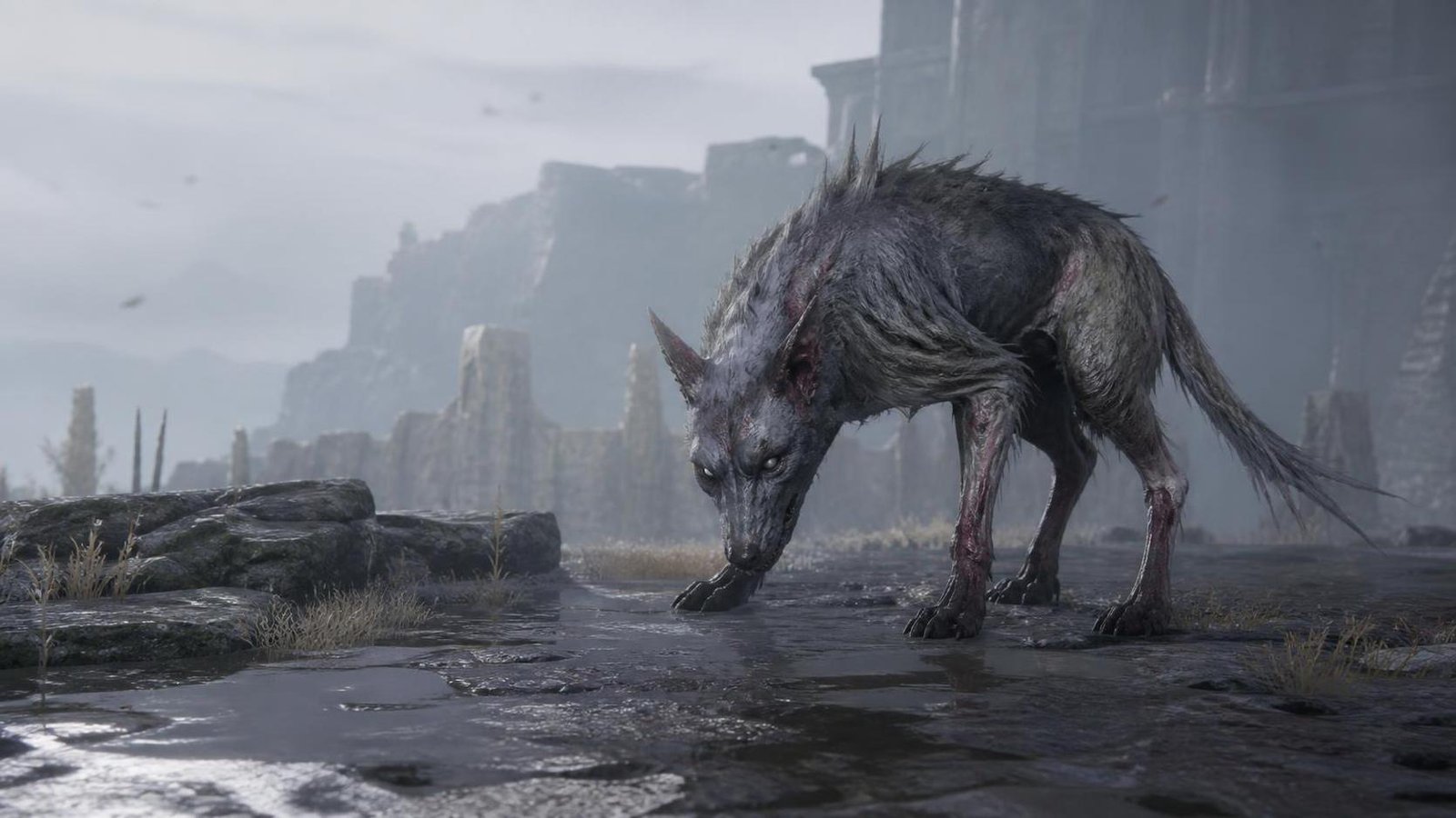 Illustration éditoriale de Beast of Reincarnation : combat au parry et chien mutant
